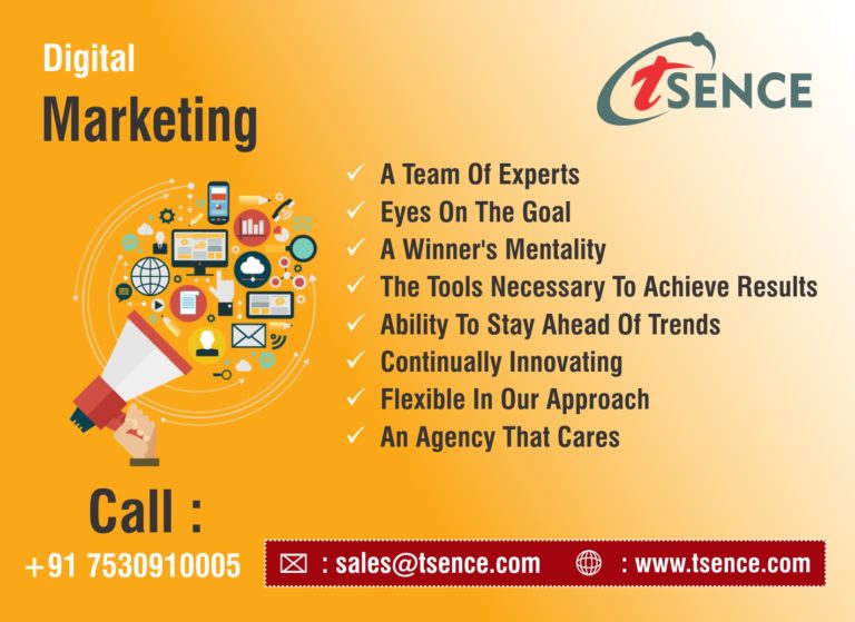 professional digital marketing services in noida