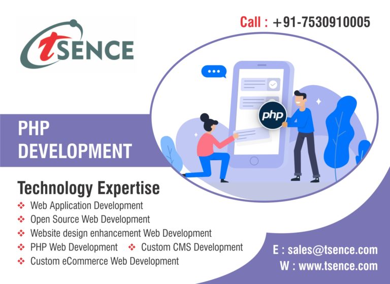 robust web design company in noida